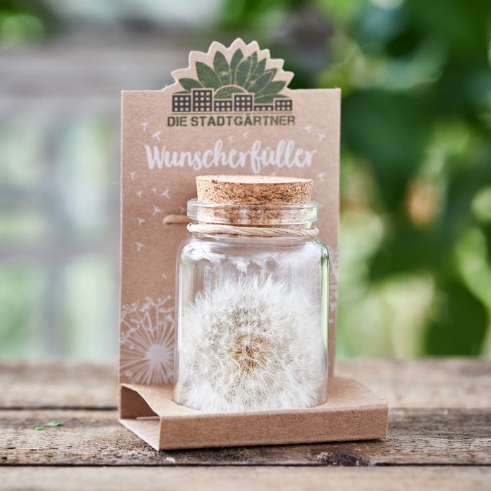 Wunscherfüller – Pusteblume im Glas mit Korken | Handgemachtes Glück zum Verschenken