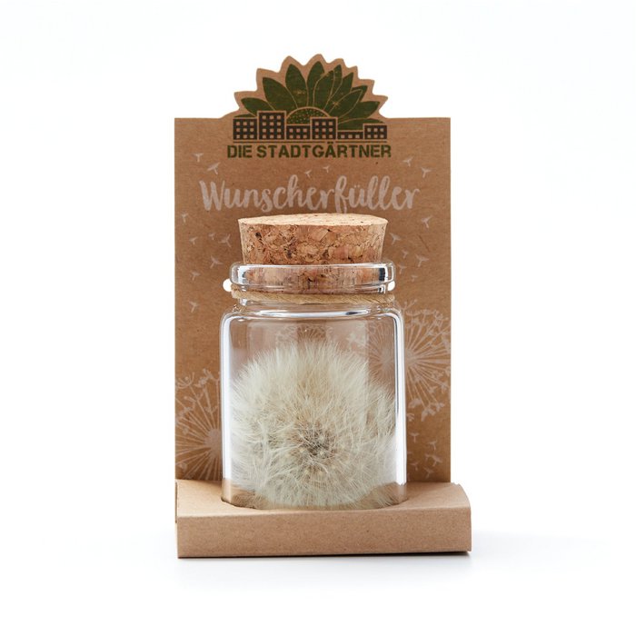 Wunscherfüller – Pusteblume im Glas mit Korken | Handgemachtes Glück zum Verschenken