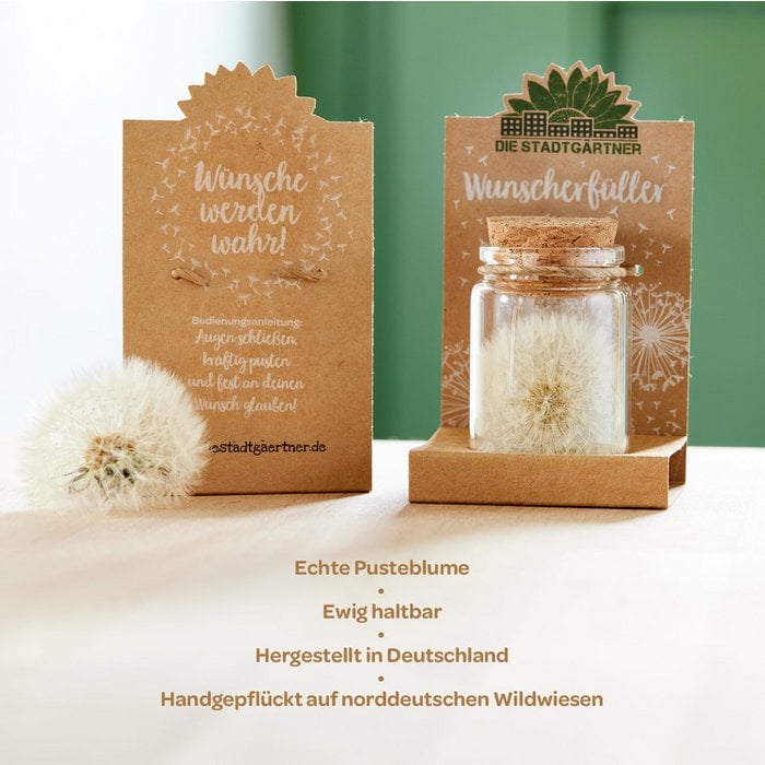 Wunscherfüller – Pusteblume im Glas mit Korken | Handgemachtes Glück zum Verschenken