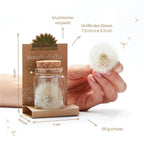 Wunscherfüller – Pusteblume im Glas mit Korken | Handgemachtes Glück zum Verschenken