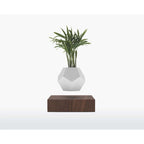 Wooden Amsterdam LYFE Schwebender Pflanzer Walnuss Magnet-Design