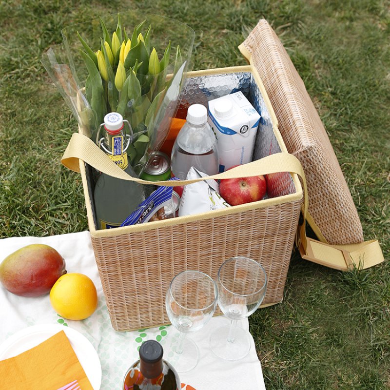 Wicker Picnic Cooler Seat Kikkerland Bild 1