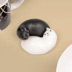 Purrfect Salt & Pepper Shakers Kikkerland Bild 1
