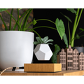 Wooden Amsterdam LYFE Schwebender Pflanzer Walnuss Magnet-Design