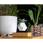 Wooden Amsterdam LYFE Schwebender Pflanzer Walnuss Magnet-Design