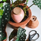 Handgefertigte Feuchtigkeitsspendende Olla aus Keramik, optimal für die Pflanzenbewässerung