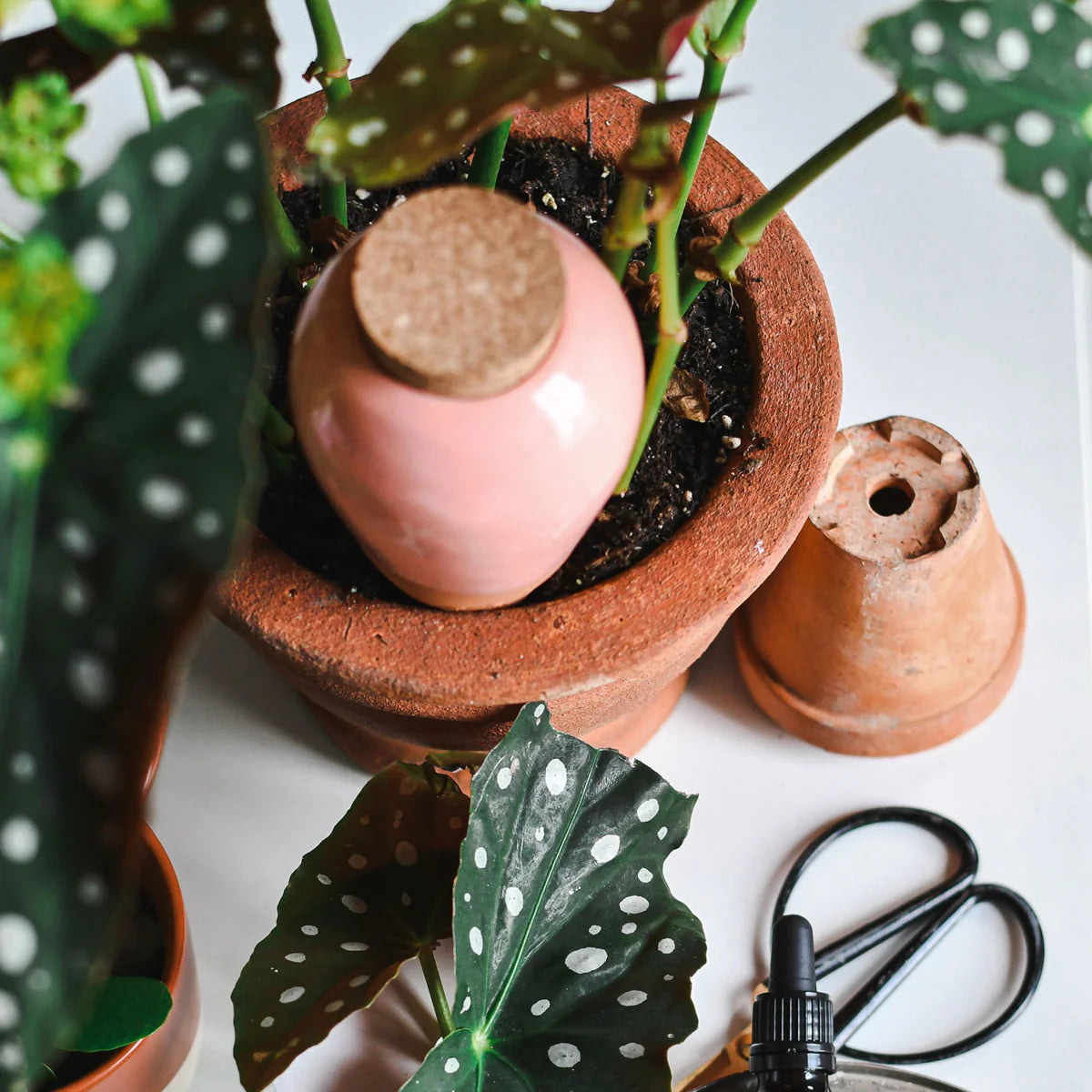 Handgefertigte Feuchtigkeitsspendende Olla aus Keramik, optimal für die Pflanzenbewässerung