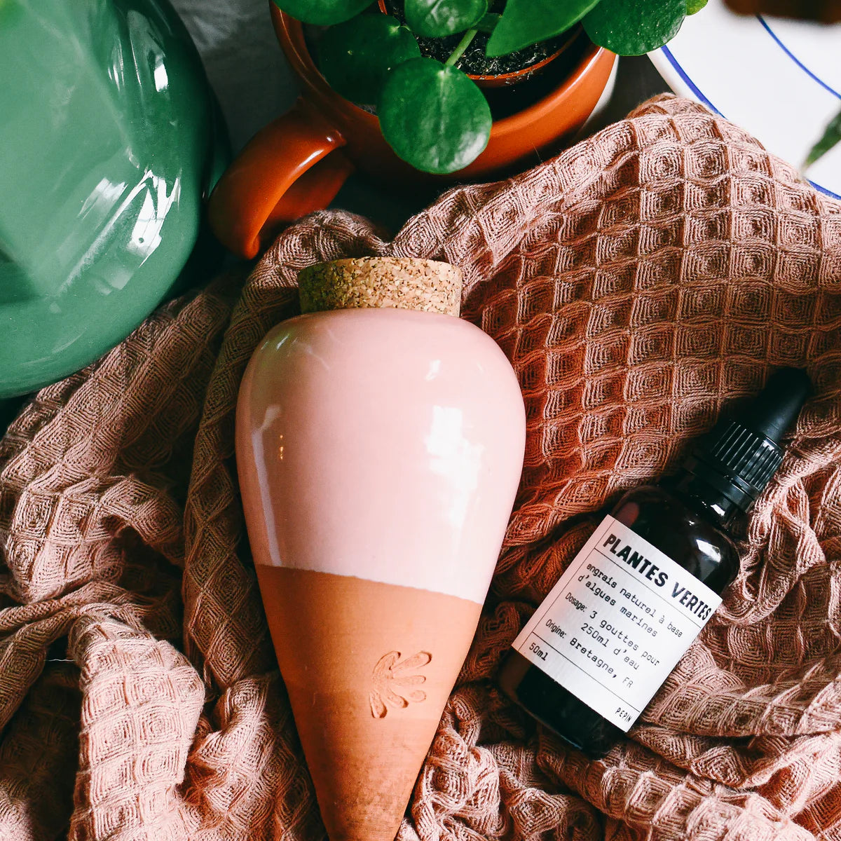 Olla Pflanzenbewässerung – Handgefertigte Keramik für natürliche Feuchtigkeitsversorgung