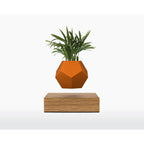 Wooden Amsterdam Silikonhaut für LYFE Planter - Stylisches Zubehör