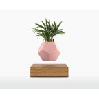 Wooden Amsterdam Silikonhaut für LYFE Planter - Stylisches Zubehör