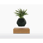 Wooden Amsterdam Silikonhaut für LYFE Planter - Stylisches Zubehör