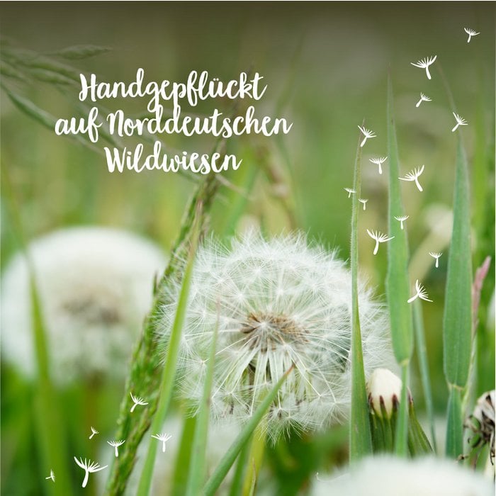 Wunscherfüller – Pusteblume im Glas mit Korken | Handgemachtes Glück zum Verschenken