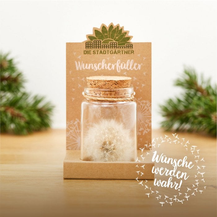 Wunscherfüller – Pusteblume im Glas mit Korken | Handgemachtes Glück zum Verschenken